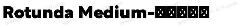Rotunda Medium字体转换